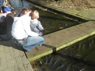 Antje en Noah voeren de karpers op kinderboerderij Malkenschoten