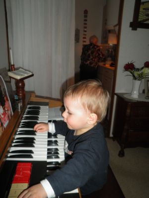 Noah op het orgel